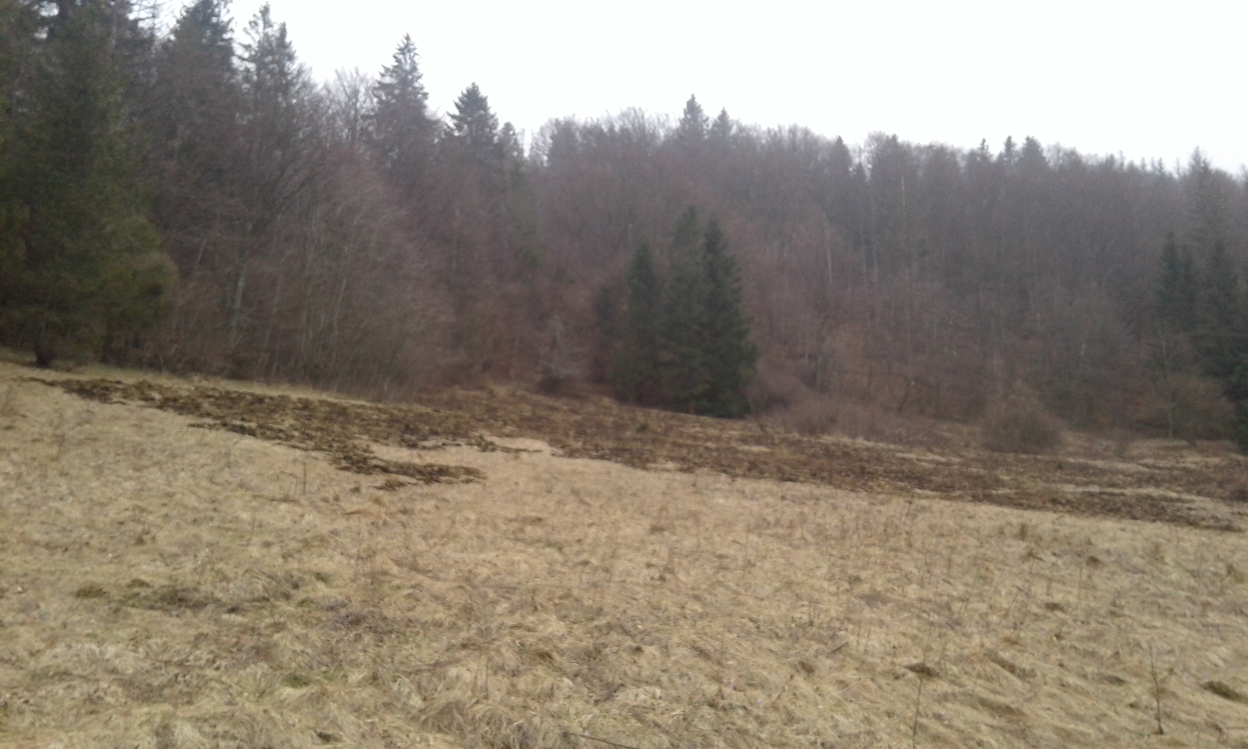 20170324_120053