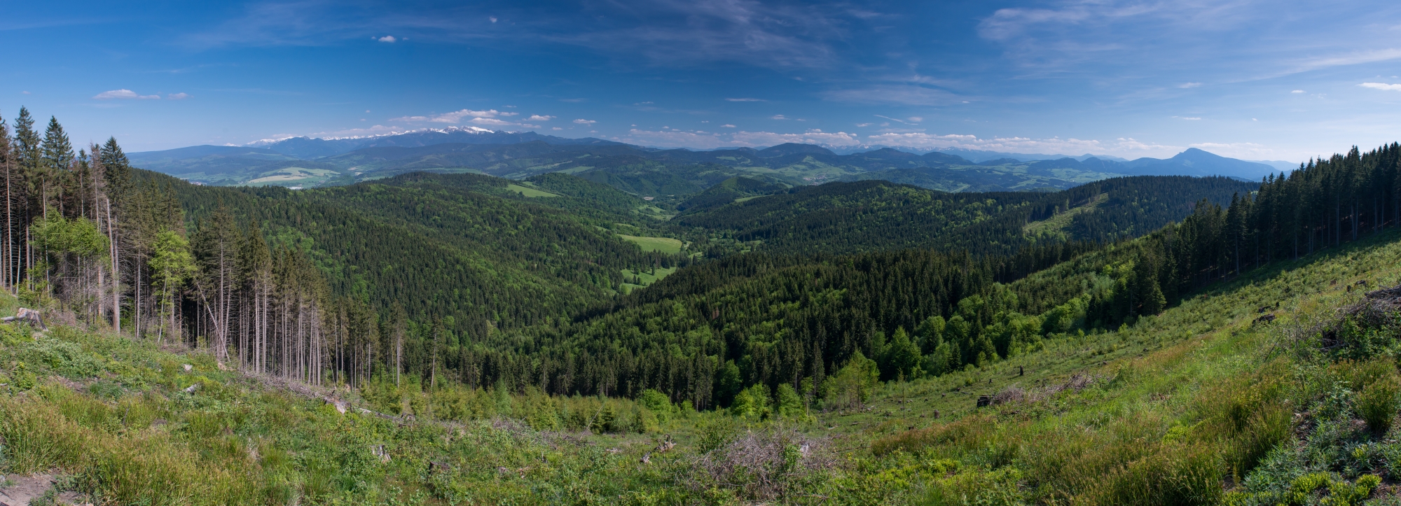 Untitled_Panorama1 (2)