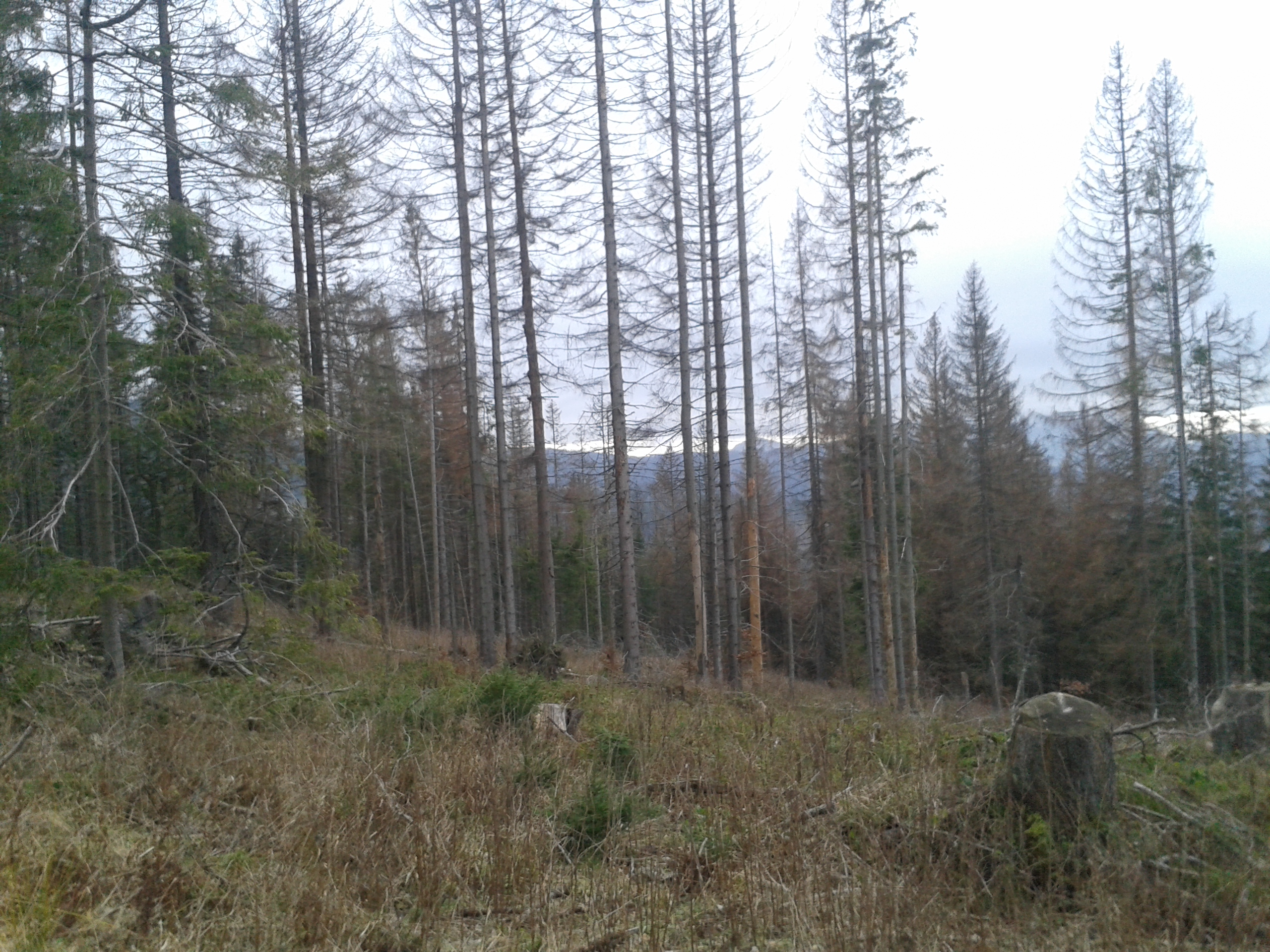 20151228_095408