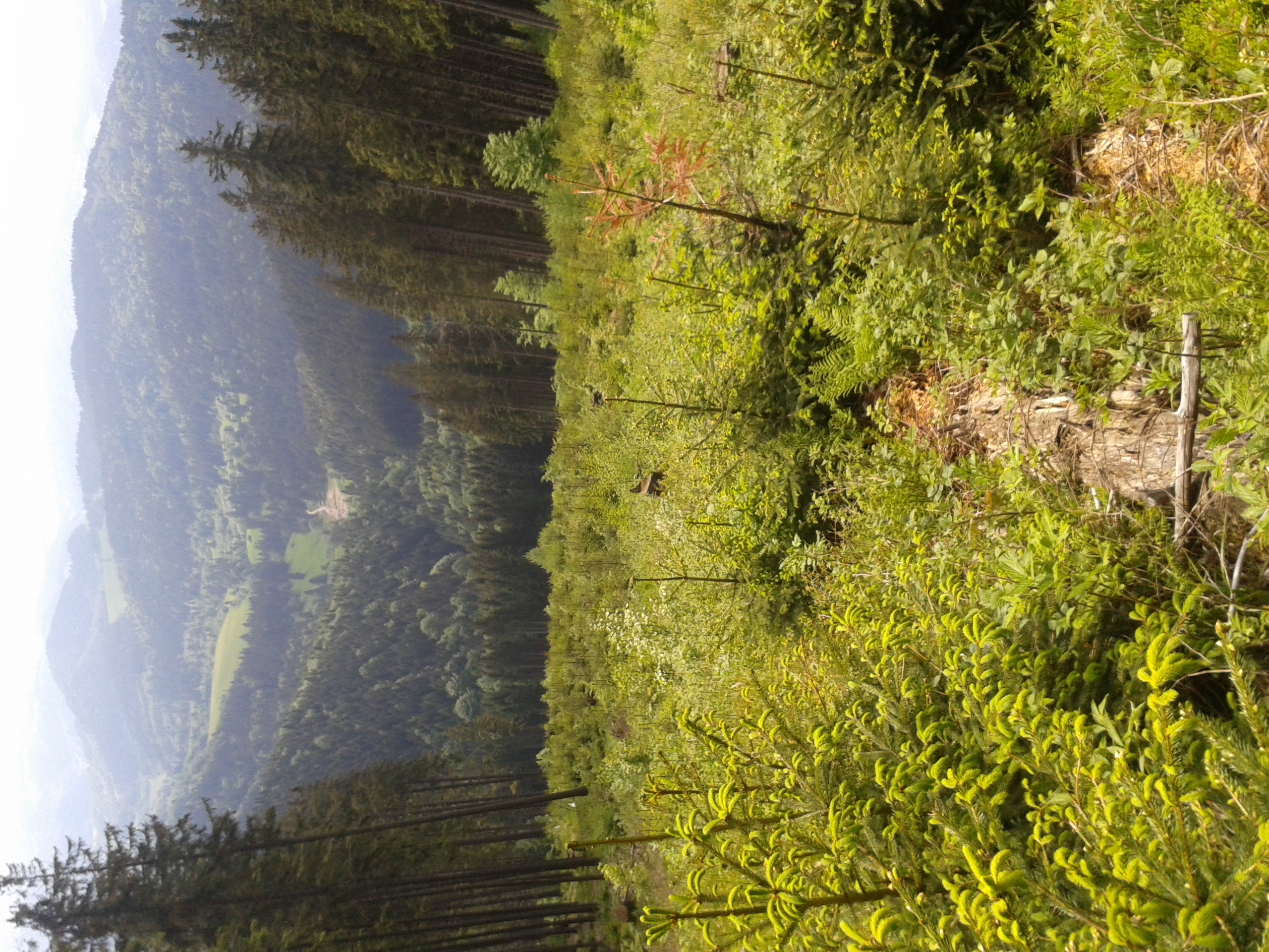 20150601_105159[1]