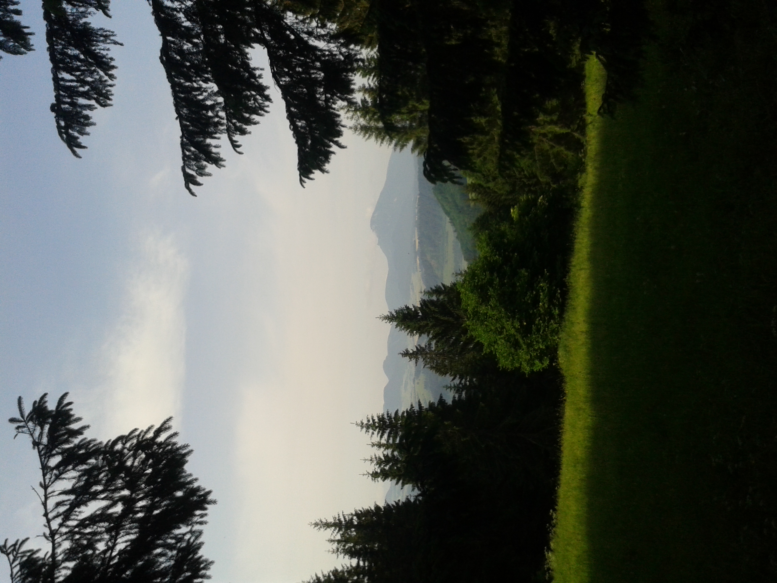 20150615_083419[1]