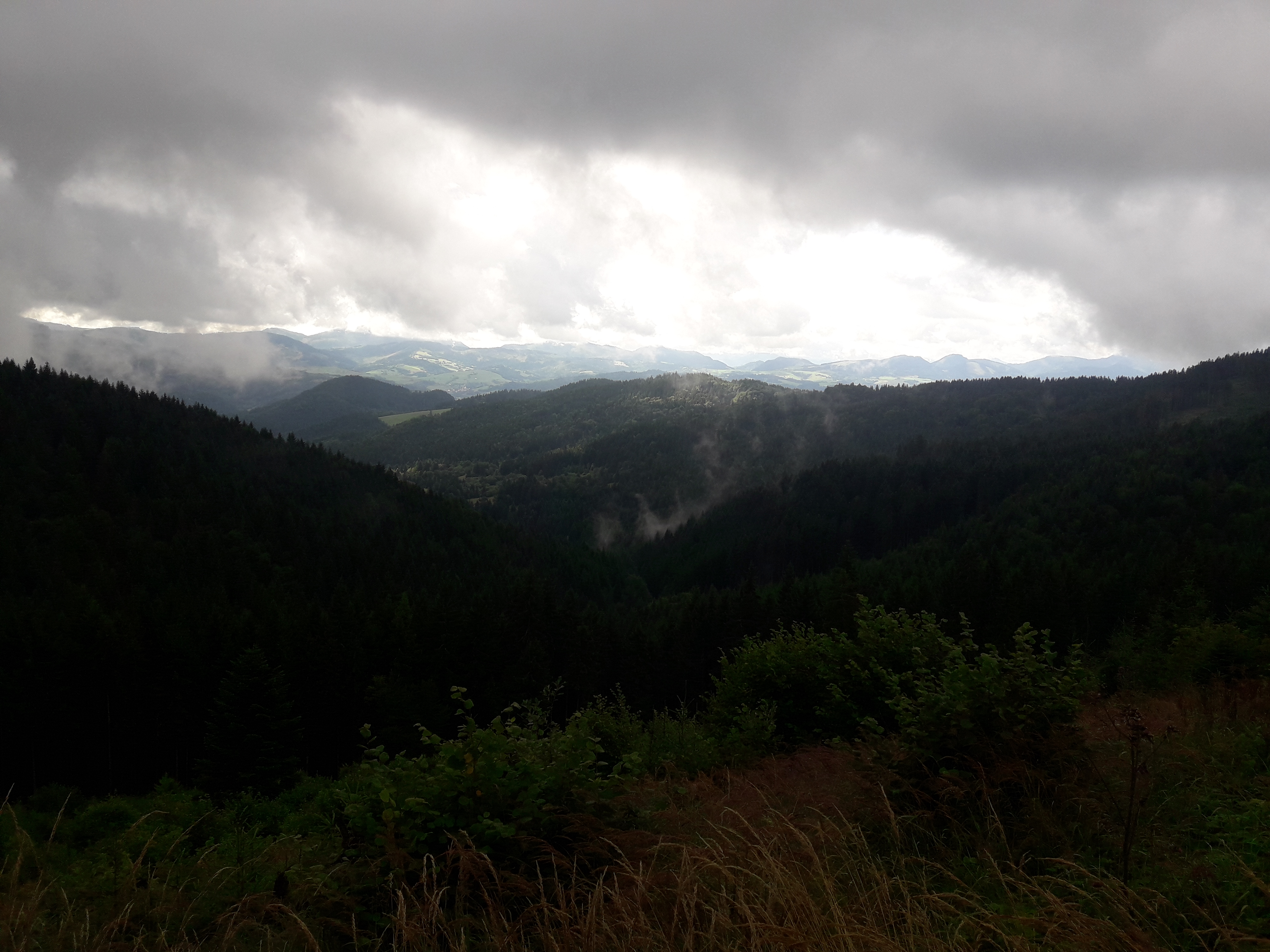20190808_095906