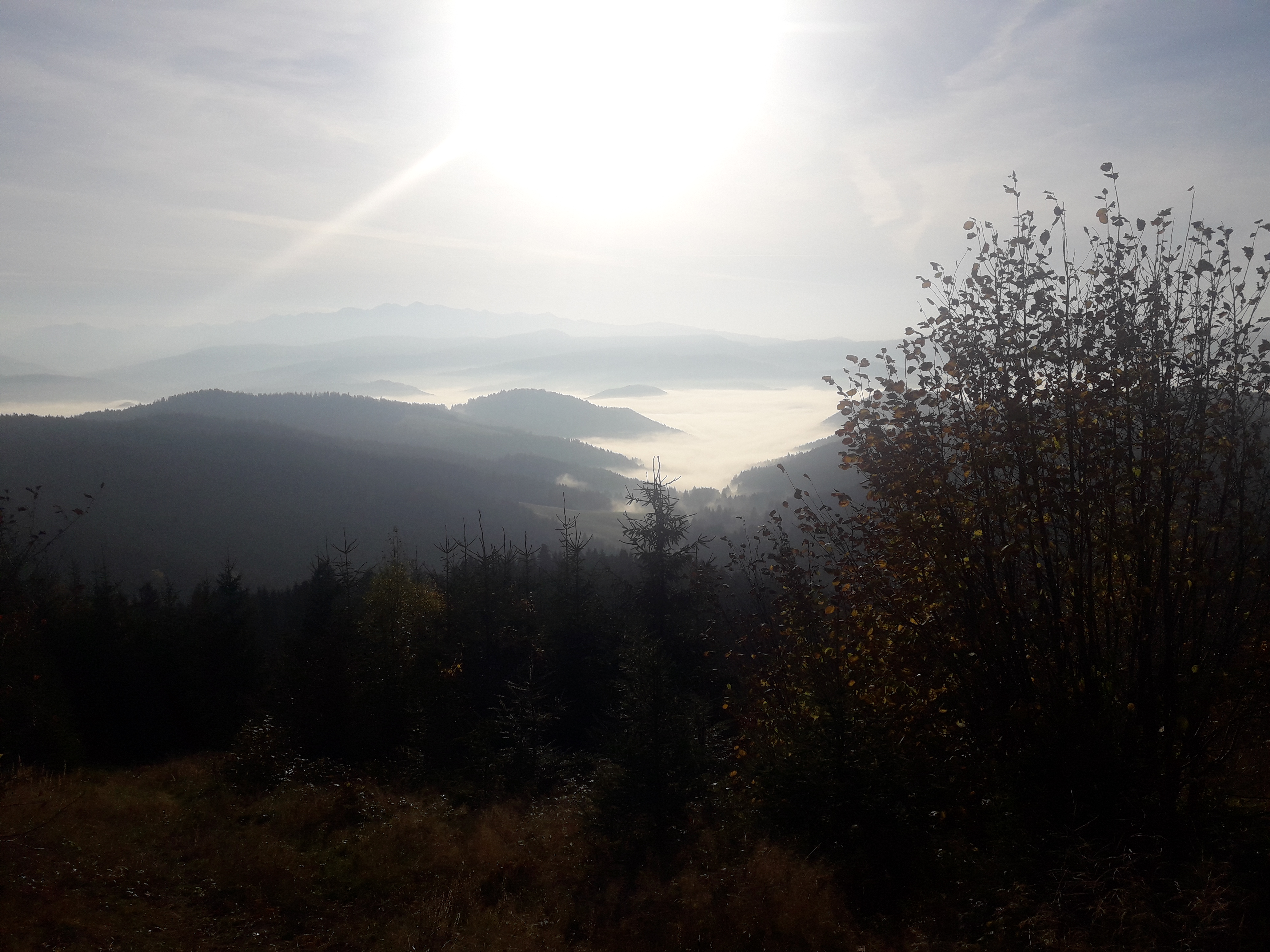 20191022_091609