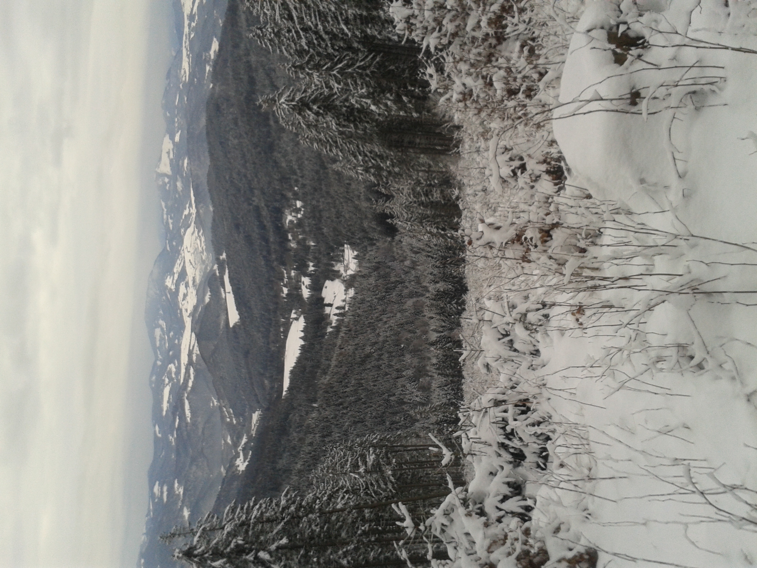 20160225_085902