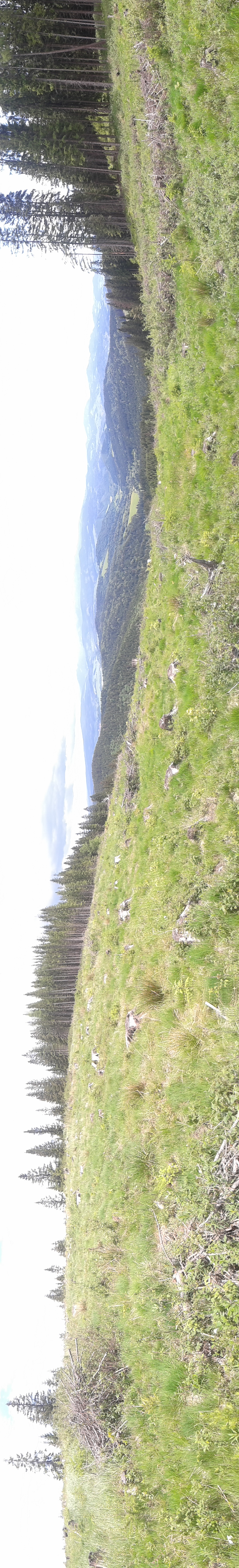 20160601_124444[1]