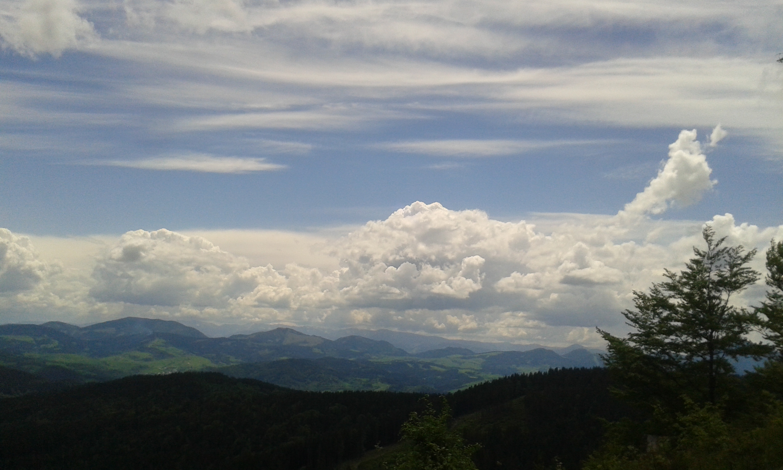 20160601_123309[1]